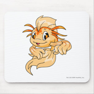 Koi Oranje Muismat