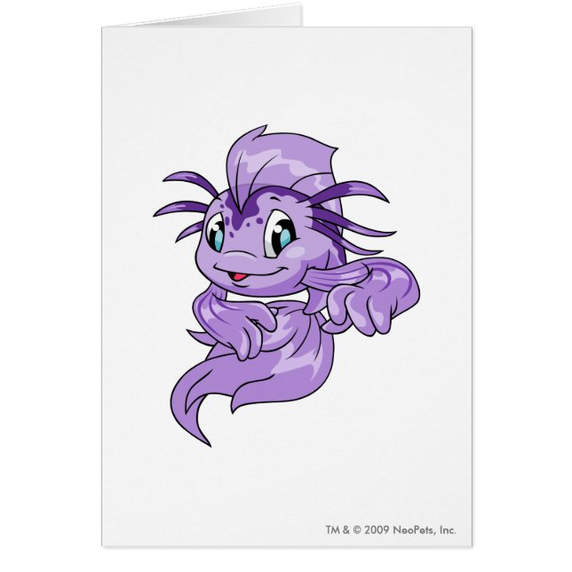 Koi Paars (Voorkant)