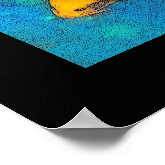 Koi PLay , Print (Hoek)