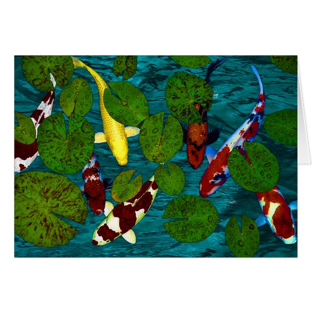 KOI POND (Voorkant Horizontaal)