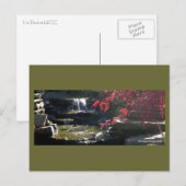 Koi Pond bij HFSC Briefkaart (Voorkant / Achterkant)
