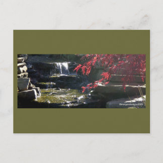 Koi Pond bij HFSC Briefkaart