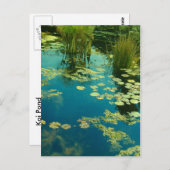 Koi Pond Briefkaart (Voorkant / Achterkant)