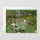 Koi Pond Briefkaart (Voorkant / Achterkant)