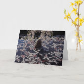Koi Pond Condolence Card Kaart (Gele Bloem)