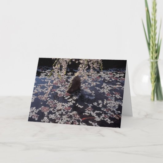 Koi Pond Condolence Card Kaart (Voorkant)