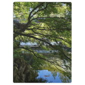 Koi Pond in Chinese Garden Klembord (Achterkant)