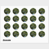 Koi Pond in Chinese Garden Ronde Sticker (Vel)
