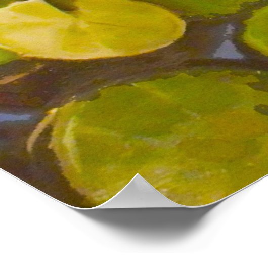 Koi Pond met lendenkussens en kleine vissen Poster (Hoek)