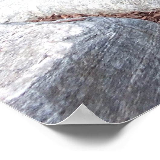 Koi Pond met waterval Poster (Hoek)