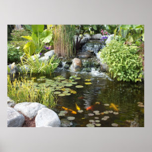 Koi Pond met waterval Poster