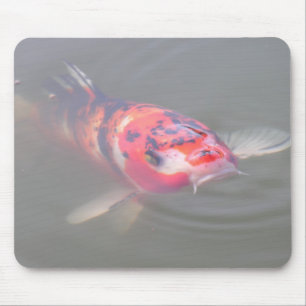 Koi Pond Muismat