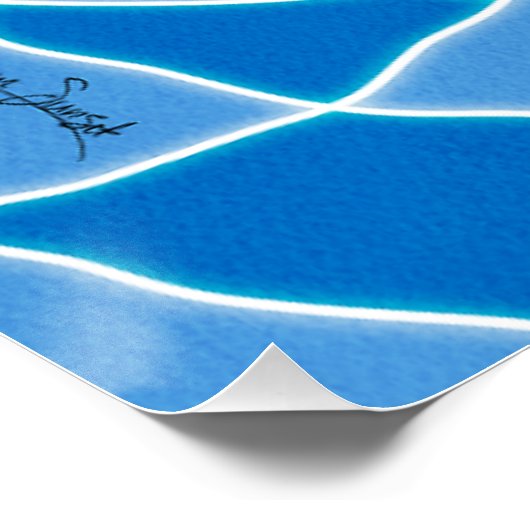 Koi Pond Perfect Poster (Hoek)