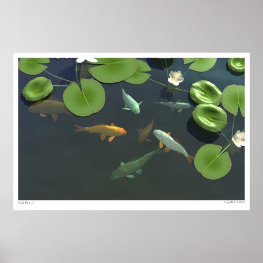 Koi Pond Poster (Voorkant)
