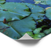 Koi Pond Poster (Hoek)