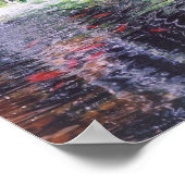 Koi Pond Poster (Hoek)