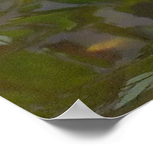 Koi Pond Poster (Hoek)