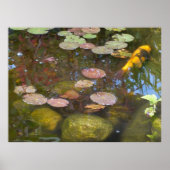 Koi Pond Poster (Voorkant)
