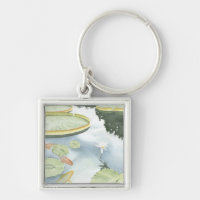 Koi Pond Reflection met vissen en geles