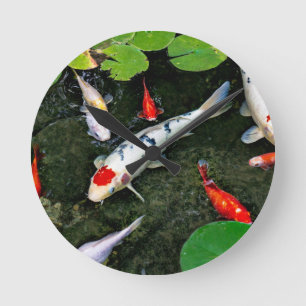 Koi Pond Ronde Klok