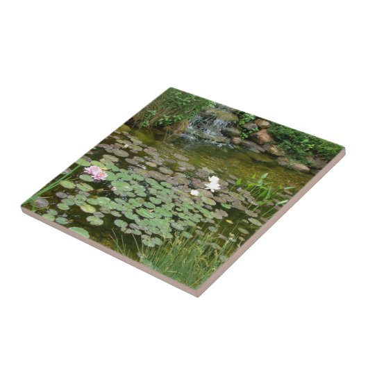 Koi Pond-tegel Tegeltje (Zijkant)