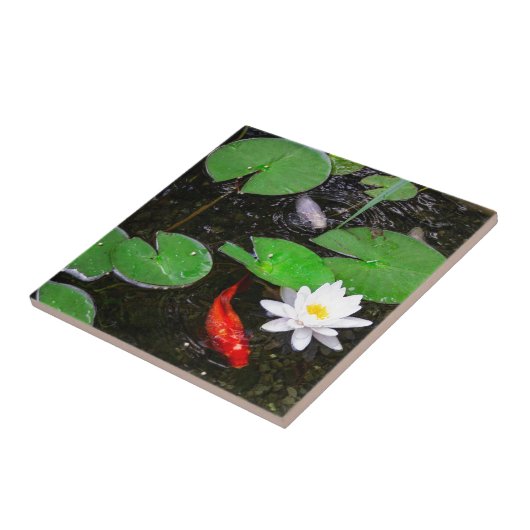 Koi Pond Tegeltje (Zijkant)