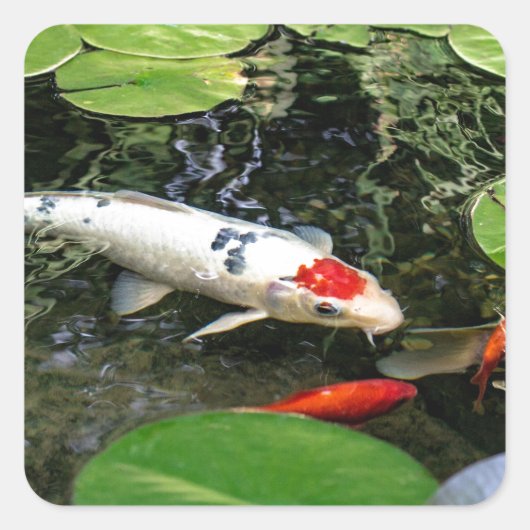 Koi Pond Vierkante Sticker (Voorkant)