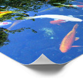 Koi Poster (Hoek)