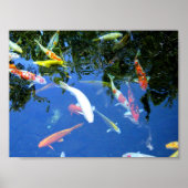 Koi Poster (Voorkant)