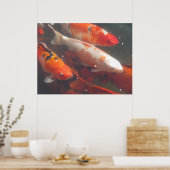 Koi Poster (Keuken)