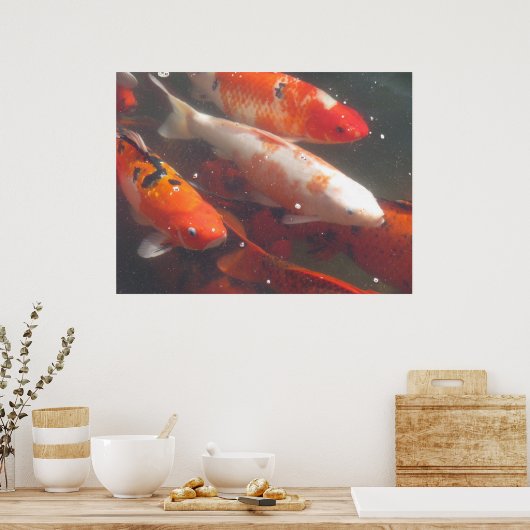 Koi Poster (Keuken)