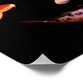 Koi Poster (Hoek)