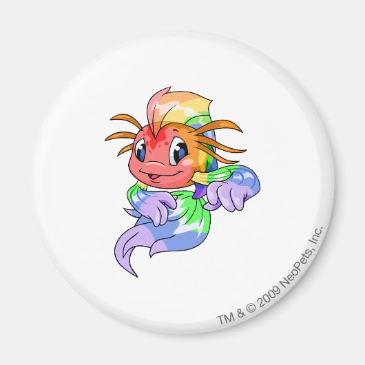 Koi Rainbow Magneet (Voorkant)