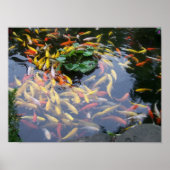Koi Splendor Poster (Voorkant)