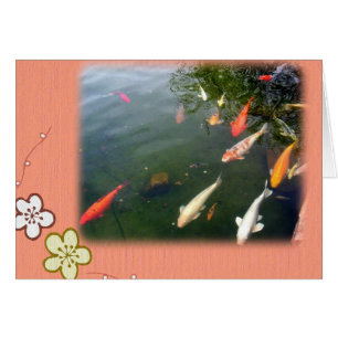 Koi Surprise