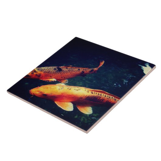 Koi Tegeltje (Zijkant)