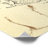 Koi Tranquility Poster (Hoek)