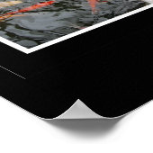 Koi Triptych Poster (Hoek)