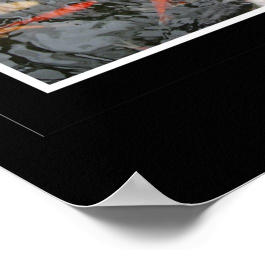 Koi Triptych Poster (Hoek)