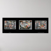Koi Triptych Poster (Voorkant)