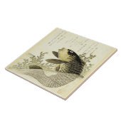 Koi vis van Ryuryukyo Shinsai Tegeltje (Zijkant)