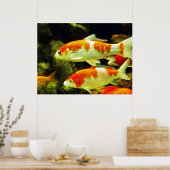 koi vissen poster (Keuken)