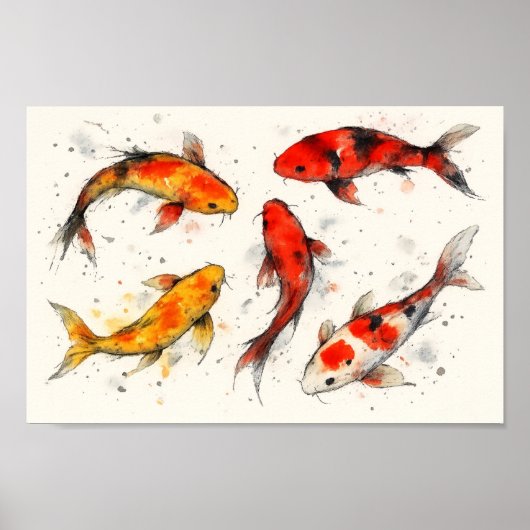 Koi vissen poster (Voorkant)