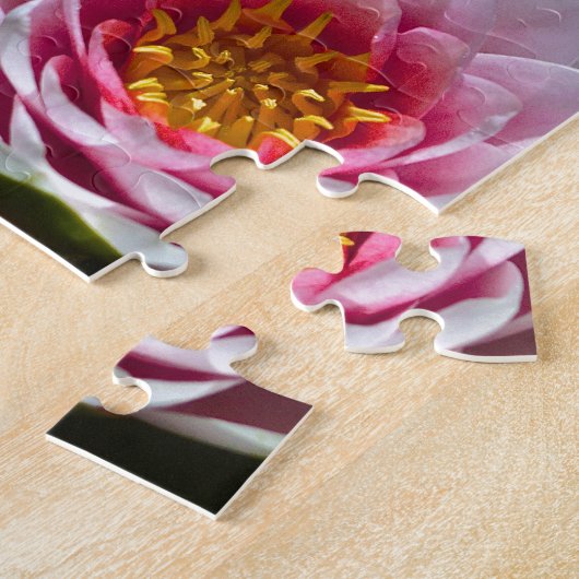 koi zwemmen rond lotus legpuzzel (Zijkant)