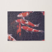 Koi zwemt in zwembad legpuzzel (Horizontaal)