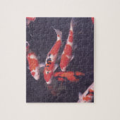 Koi zwemt in zwembad legpuzzel (Verticaal)