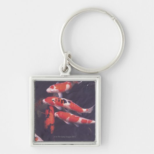 Koi zwemt in zwembad sleutelhanger (Voorkant)