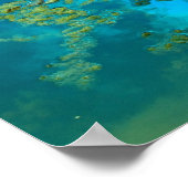 koienblauw poster (Hoek)