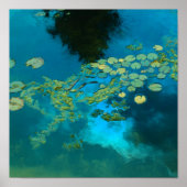 koienblauw poster (Voorkant)