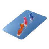 Koinobori (karperwimpels): Japan Magneet (Linkerzijde)